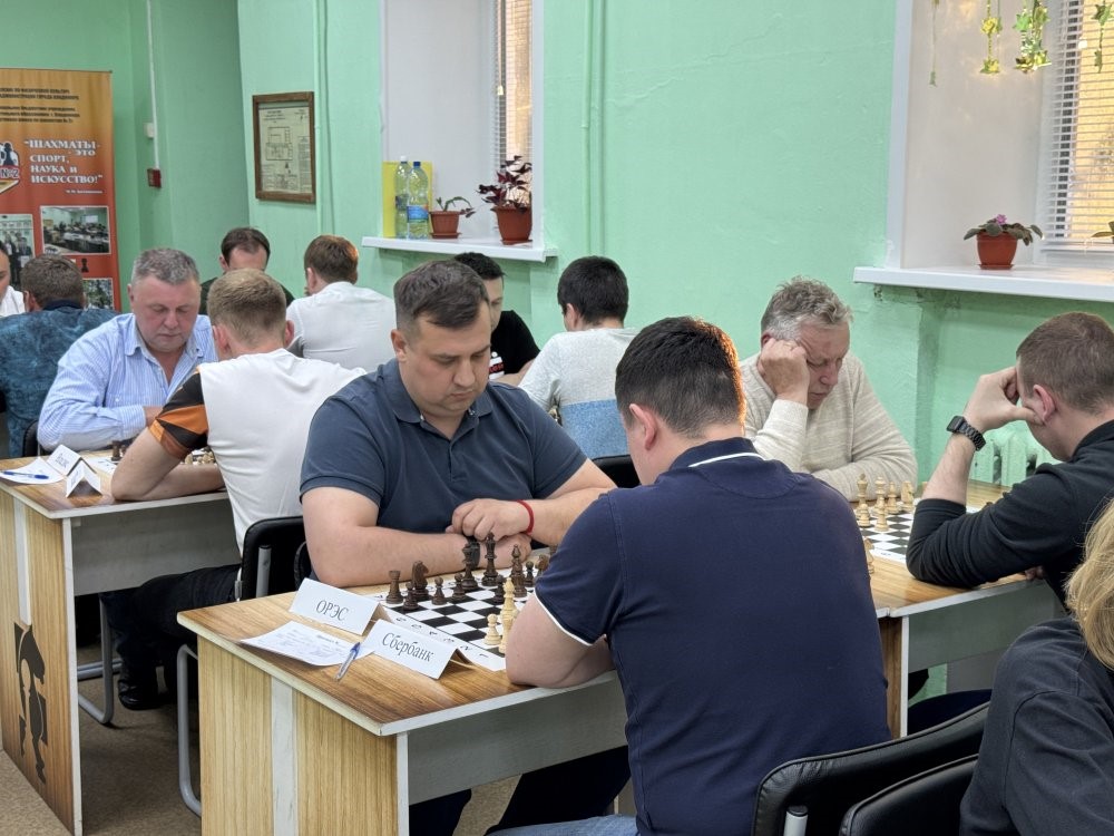 Сыграли в шахматы